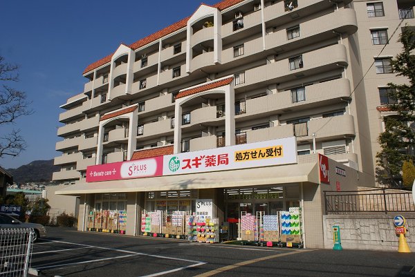 Dorakkusutoa. 470m until cedar pharmacy (drugstore)