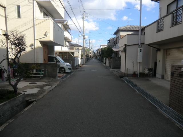 Local photos, including front road. Local (12 May 2013) Shooting