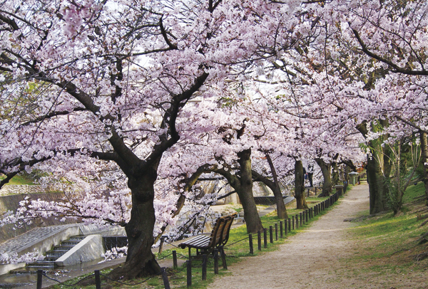 Surrounding environment. Shukugawa park