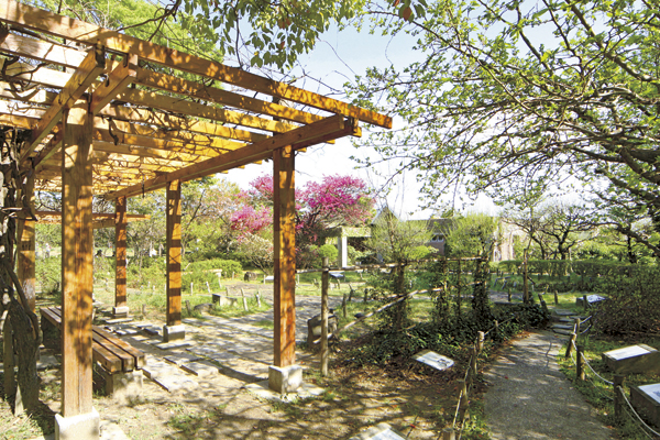Surrounding environment. Nishida Park (a 10-minute walk ・ About 790m)