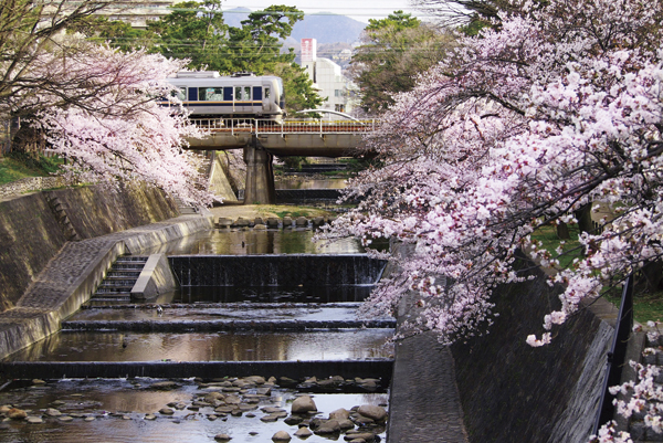 Surrounding environment. Decorated in quaint rich pine forest, Familiar is exhilarating water Kay fun Mel Shukugawa park. In the cherry blossoms, which was selected in the "100 best Japan Sakura attractions" by the Nihonsakuranokai, It spelled the life that has been wrapped in a beautiful expression of the four seasons that would turn now (Shukugawa park / 2-minute walk ・ About 110m)
