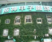 Other Environmental Photo. 515m to Hanshin Koshien Stadium