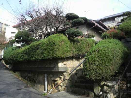 Local appearance photo. It is the state of appearance.