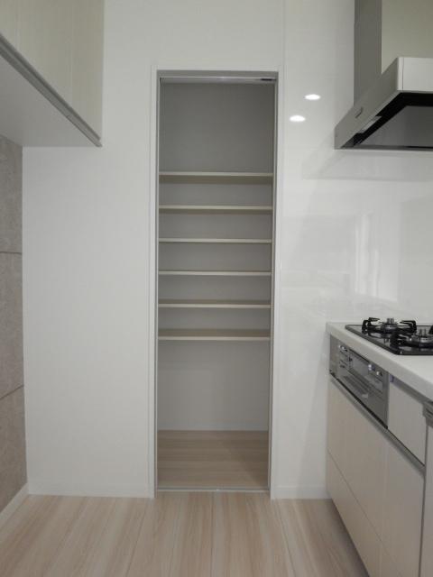 Kitchen. Pantry (12 May 2013) Shooting