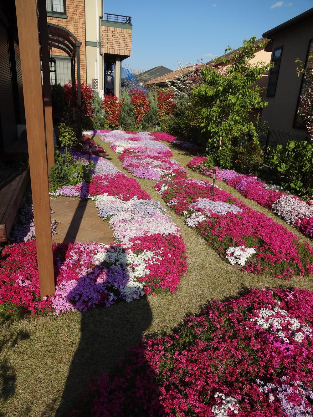 Garden. Local (April 2013) Shooting Full is in the colorful flowers.