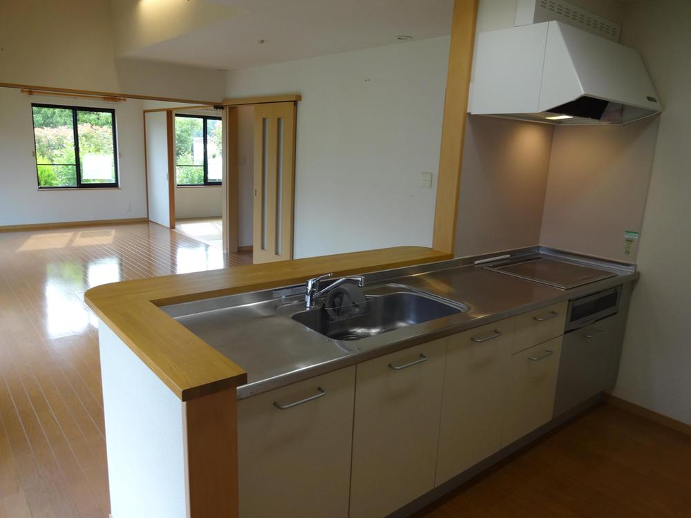 Kitchen. Indoor (June 2013) Shooting