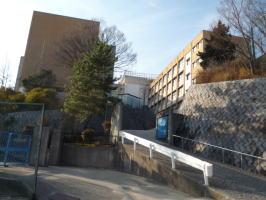 Junior high school. 1404m to pleasure and pain Gardens junior high school