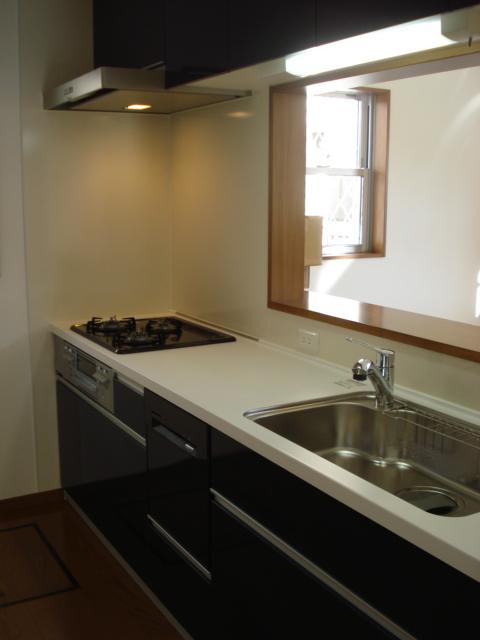 Kitchen. Dishwasher system Kitchen