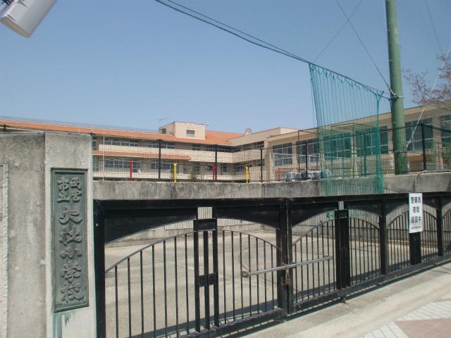 Primary school. Taisha elementary school