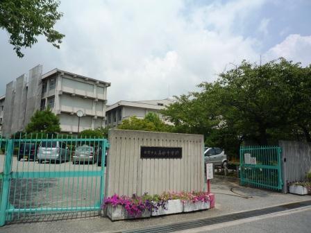Junior high school. Masago 1500m until junior high school