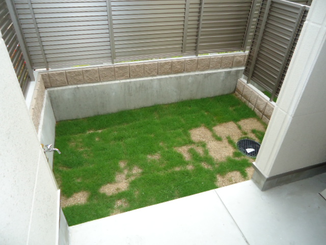 Garden. Private garden