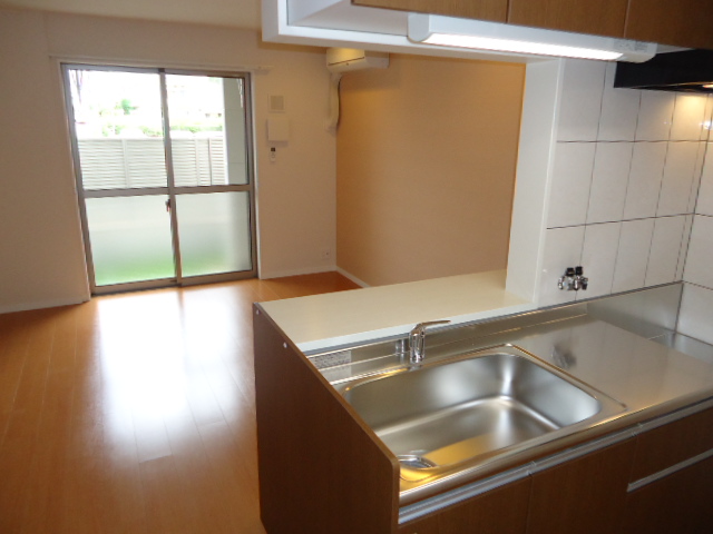 Kitchen. Counter kitchen type