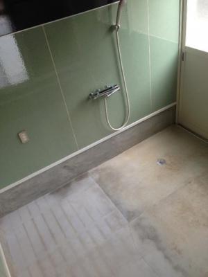 Other introspection. Because the shower convenient to pet shower.