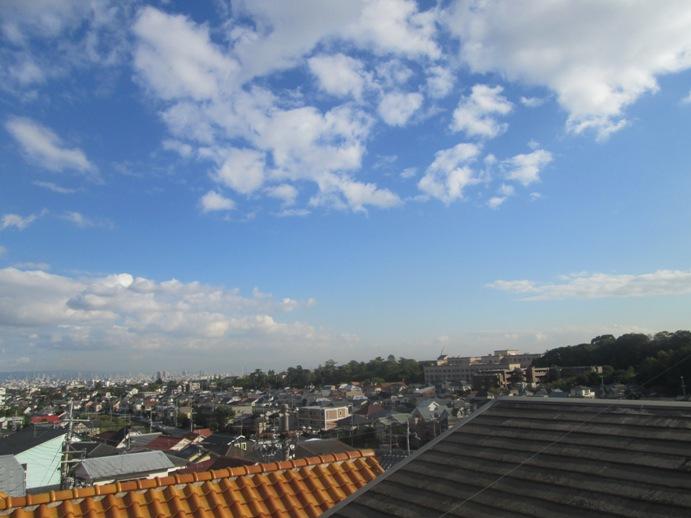 View photos from the dwelling unit. Local (12 May 2013) Shooting