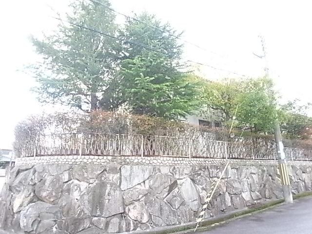 Local photos, including front road