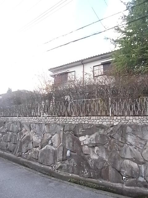 Local photos, including front road