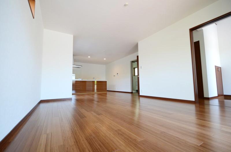 Living. Room (May 2013) Shooting