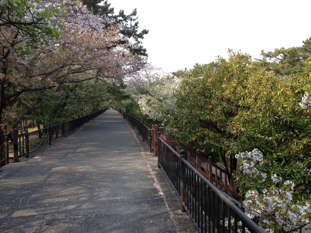 Other. Shukugawa to Oasis Road 2-minute walk