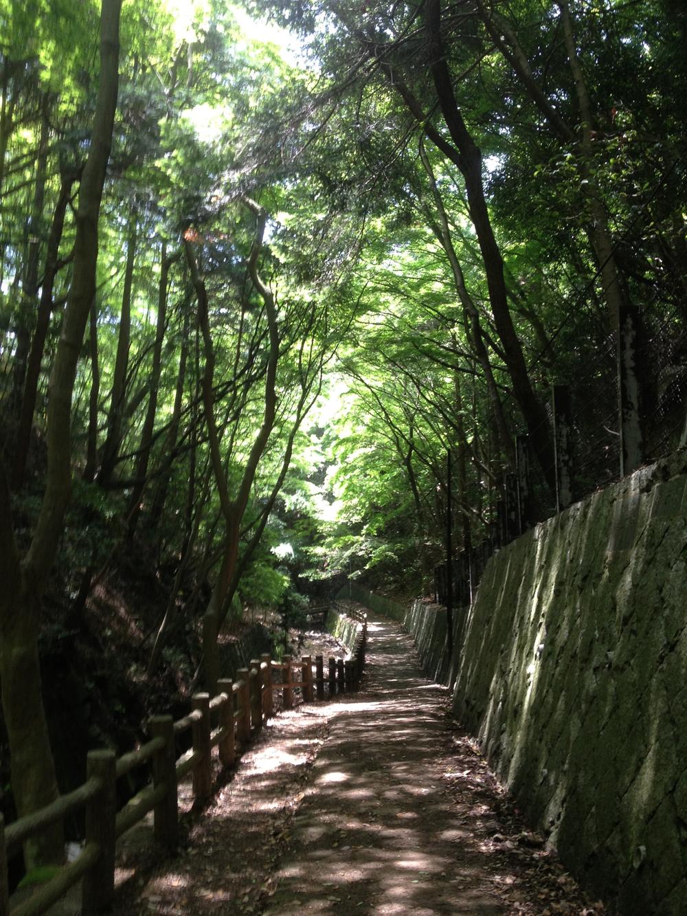 Other. Shukugawa to Oasis Road 2-minute walk