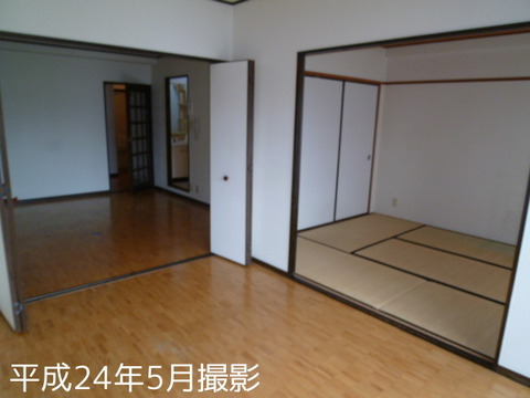 Living and room. LDK