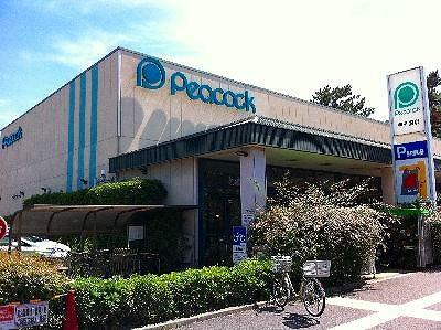 Supermarket. 362m until Daimarupikokku Koshien shop