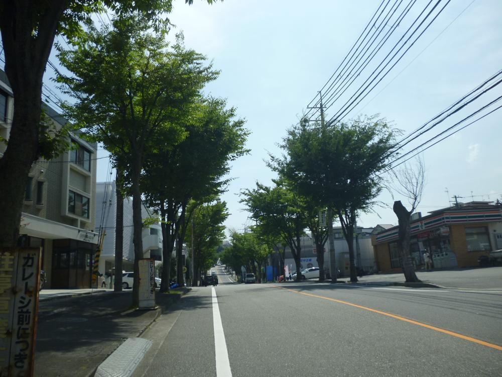 Local photos, including front road. Wide front that sidewalk with