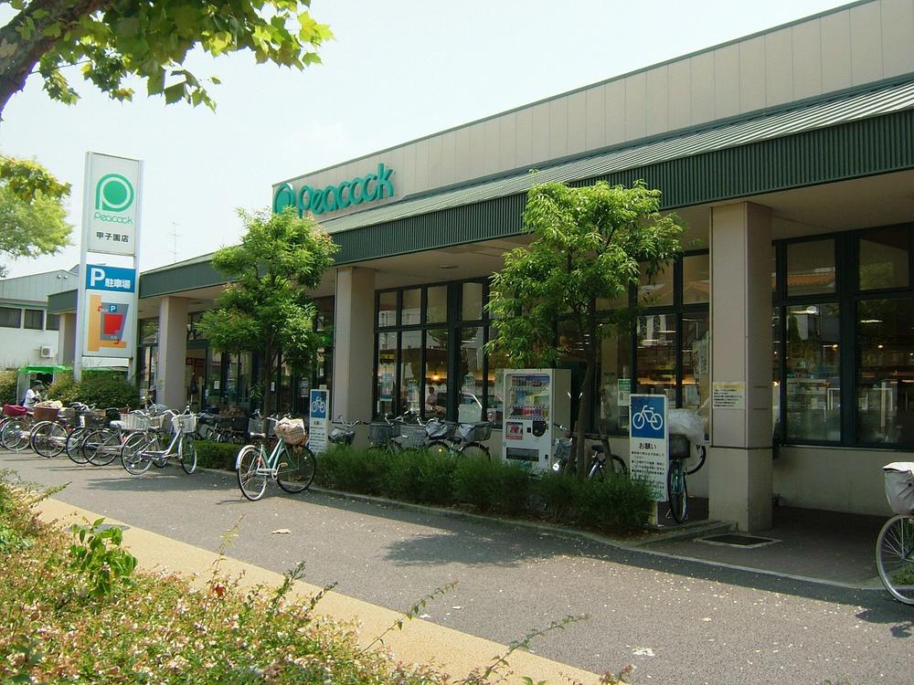 Supermarket. 425m until Daimarupikokku Koshien shop