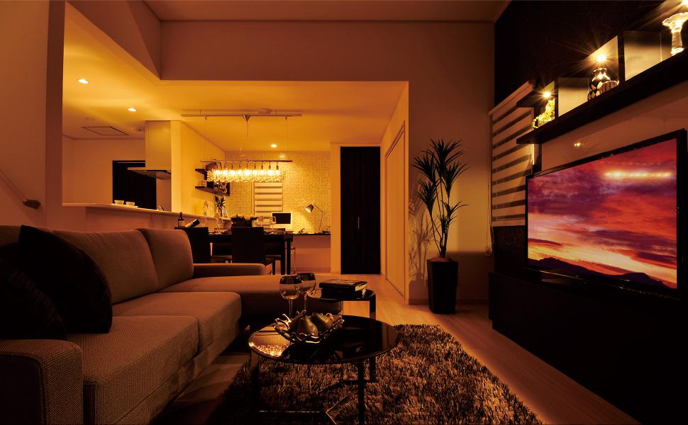 Model house photo. Model house / LDK (05 May 2013) Shooting