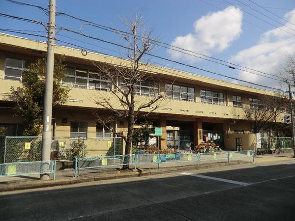 Primary school. Spring breeze to primary school 333m