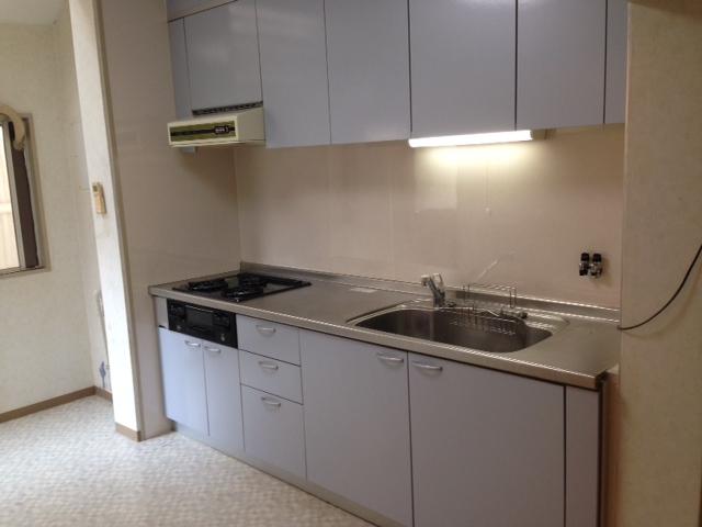 Kitchen. Indoor (11 May 2013) Shooting