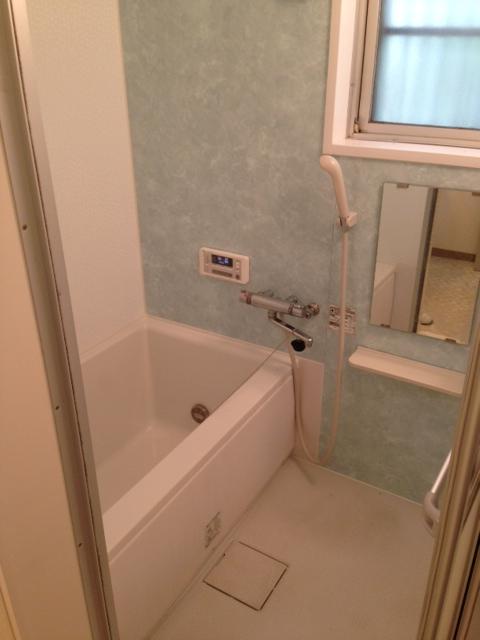 Bathroom. Indoor (11 May 2013) Shooting