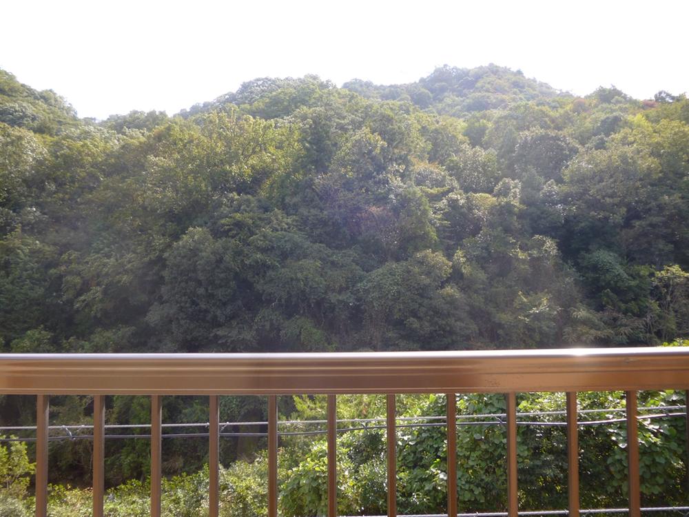 View photos from the dwelling unit