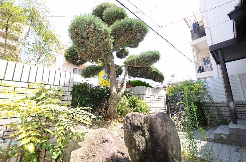 Garden. Local (August 2013) Shooting