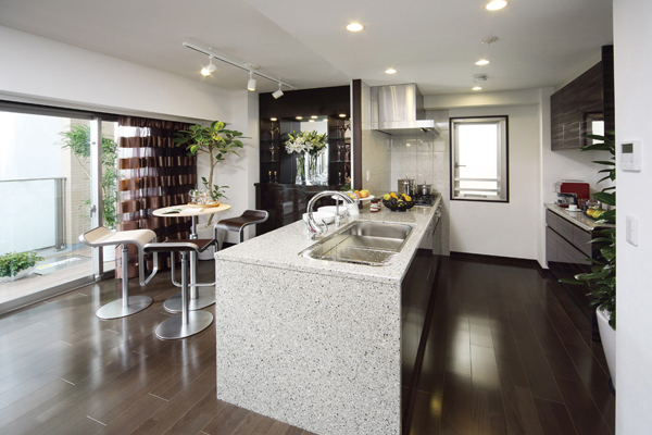 Kitchen.  [kitchen] G type model room