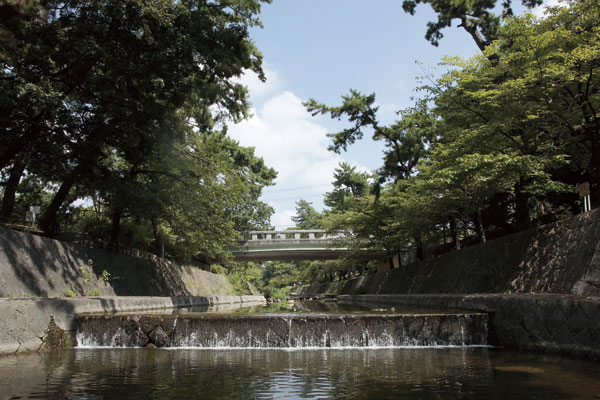 Surrounding environment. Shukugawa Park (a 10-minute walk ・ About 730m)