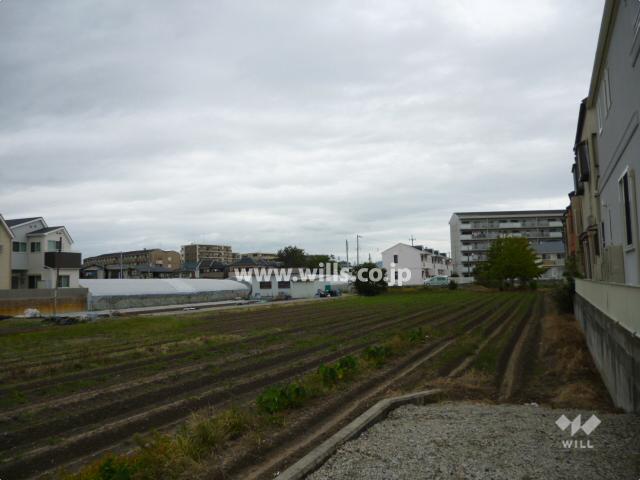 Other. The west side of the property has become in the field.