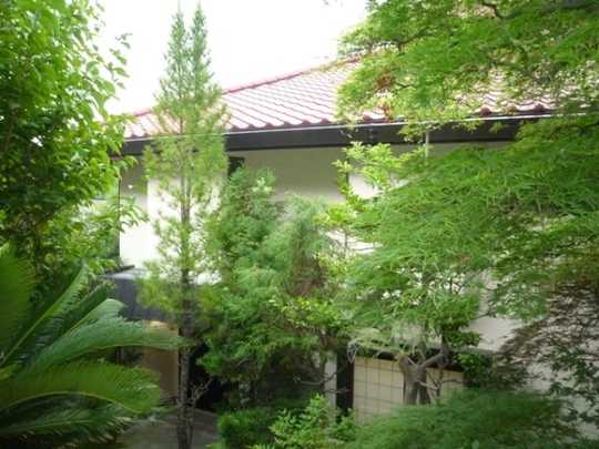 Local appearance photo. appearance