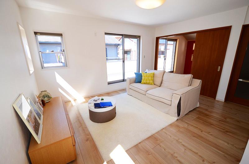 Living. Indoor (September 2013) Shooting