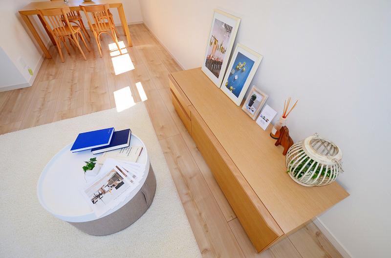 Living. Indoor (September 2013) Shooting