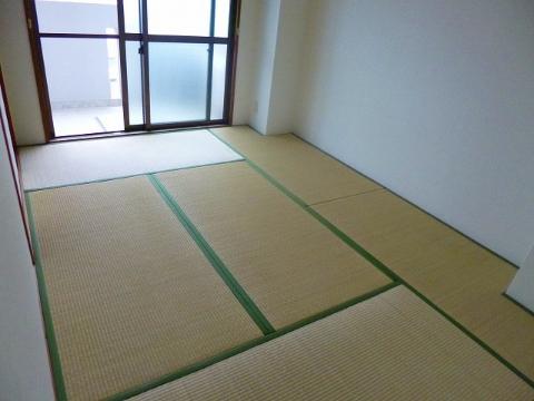 Living and room. Japanese style room