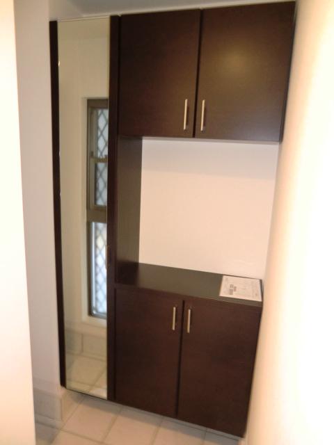 Other introspection. Local photos (entrance)