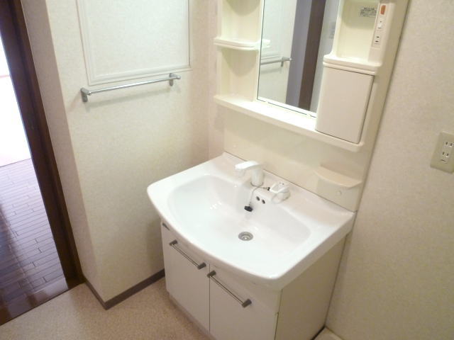 Washroom. Shampoo dresser