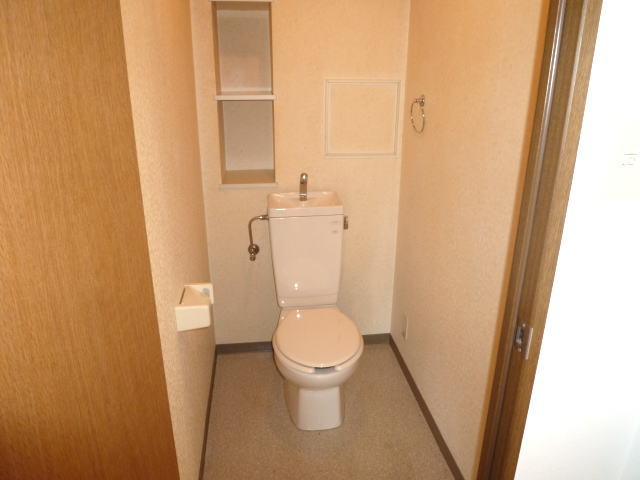 Toilet. With storage shelves
