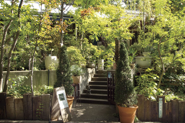 Surrounding environment. Plants Plants + Flowers (2-minute walk ・ About 150m)