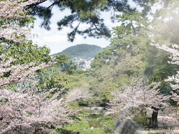 Building structure. Overlooking the Kozan from Shukugawa park
