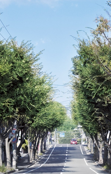 Building structure. Kita夙 River Street (2-minute walk / About 150m)