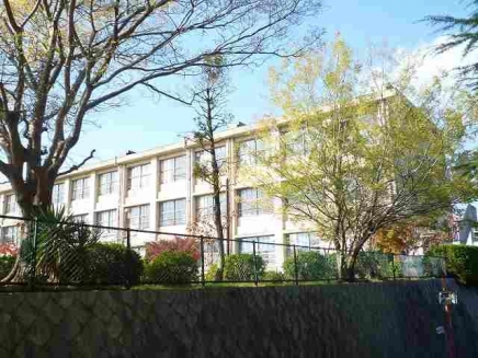 Primary school. 976m to Nishinomiya Municipal Yamaguchi Elementary School (elementary school)