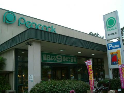 Other. Daimarupikokku Koshien shop until the (other) 519m