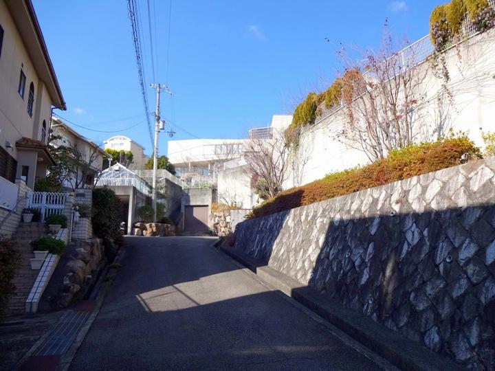 Local photos, including front road. Local (12 May 2013) Shooting