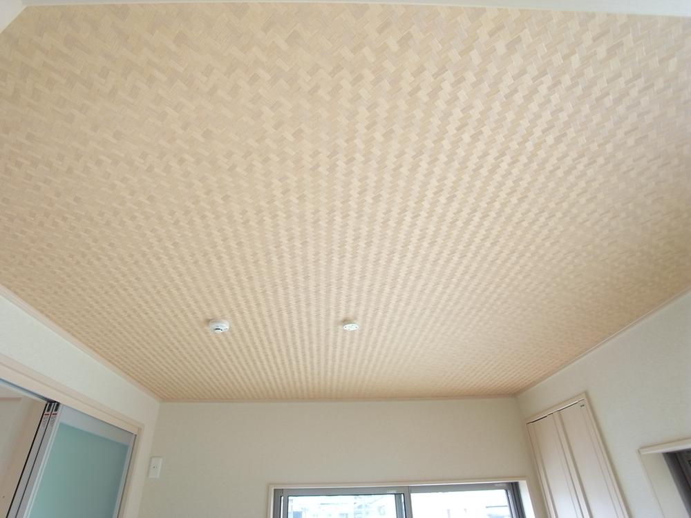 Same specifications photos (Other introspection)